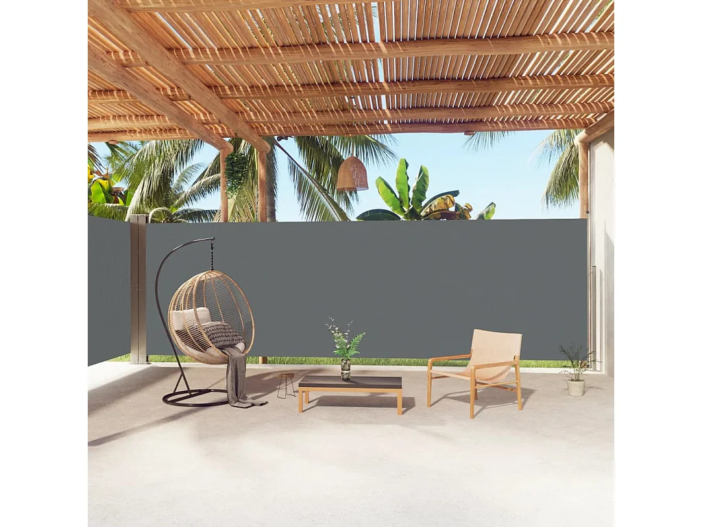 Auvent latéral rétractable Anthracite 200x1000