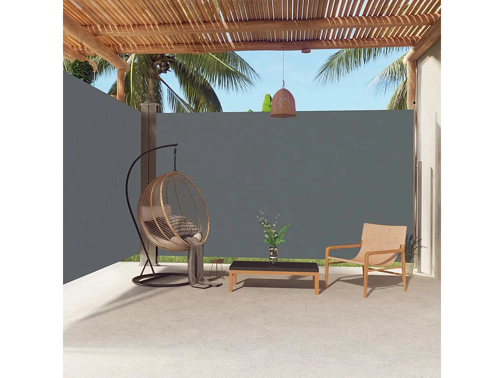 Auvent latéral rétractable Anthracite 220x600