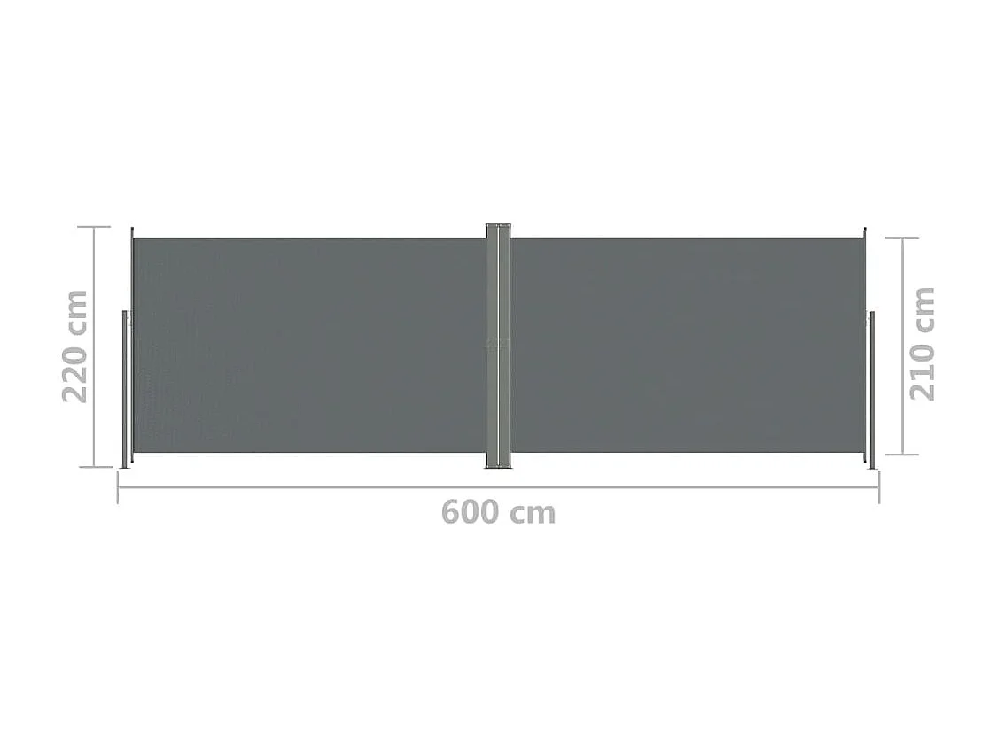 Auvent latéral rétractable Anthracite 220x600