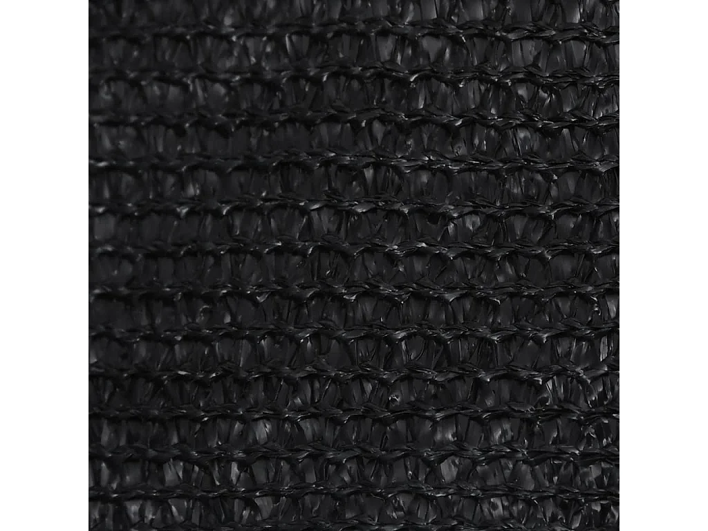 Voile d'ombrage 160 g-m² Noir 3-4x2 m PEHD