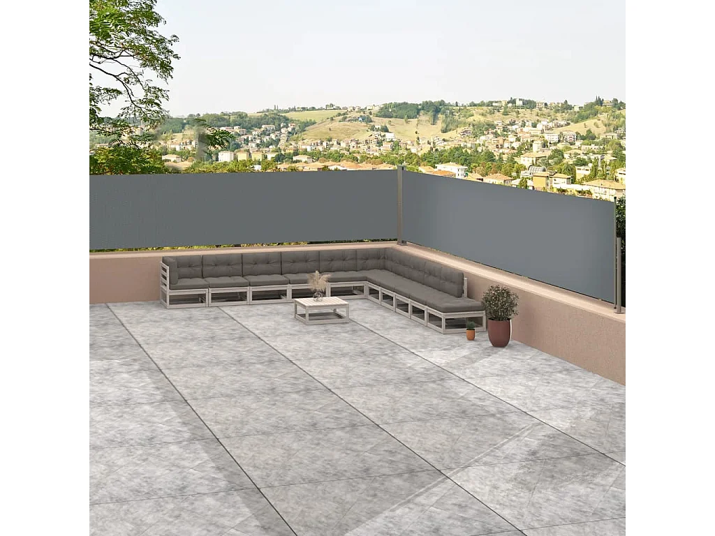 Auvent latéral rétractable Anthracite 117x1200