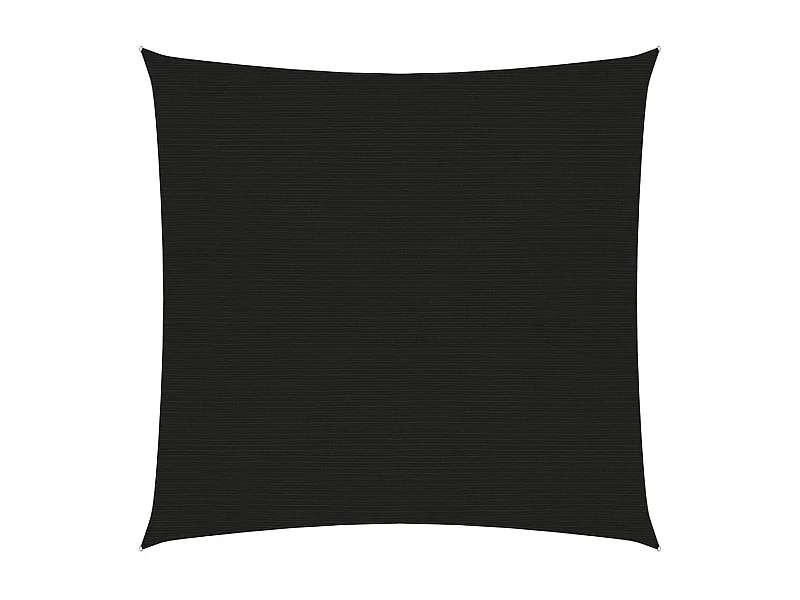 Voile d'ombrage 160 g-m² Noir 2,5x2,5 m PEHD