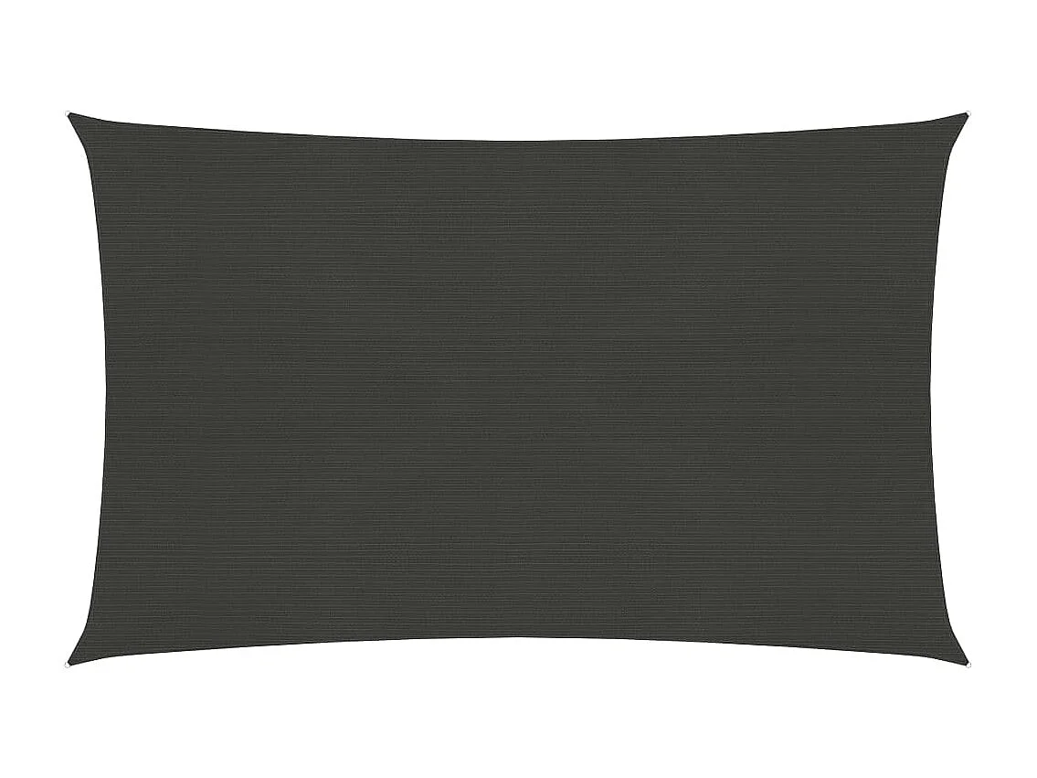 Voile d'ombrage 160 g-m² Anthracite 2,5x4 m PEHD