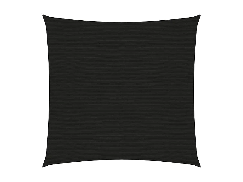 Voile d'ombrage 160 g-m² Noir 2x2 m PEHD