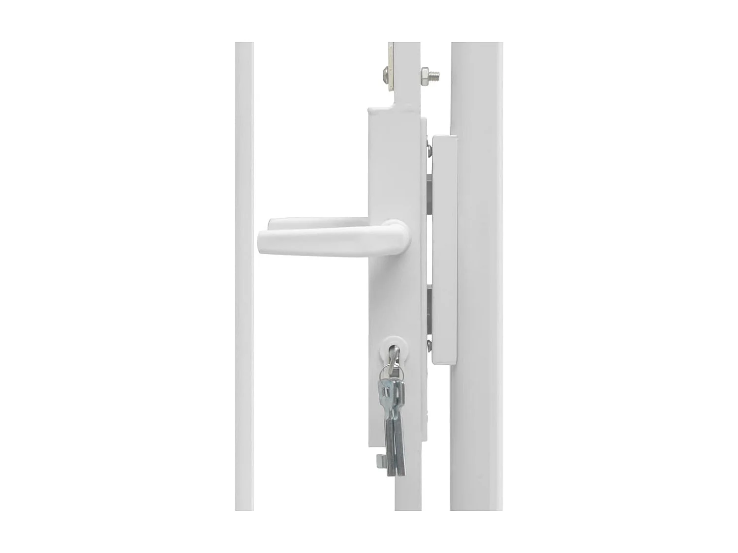 Portail de jardin Acier 1 x 2 m Blanc