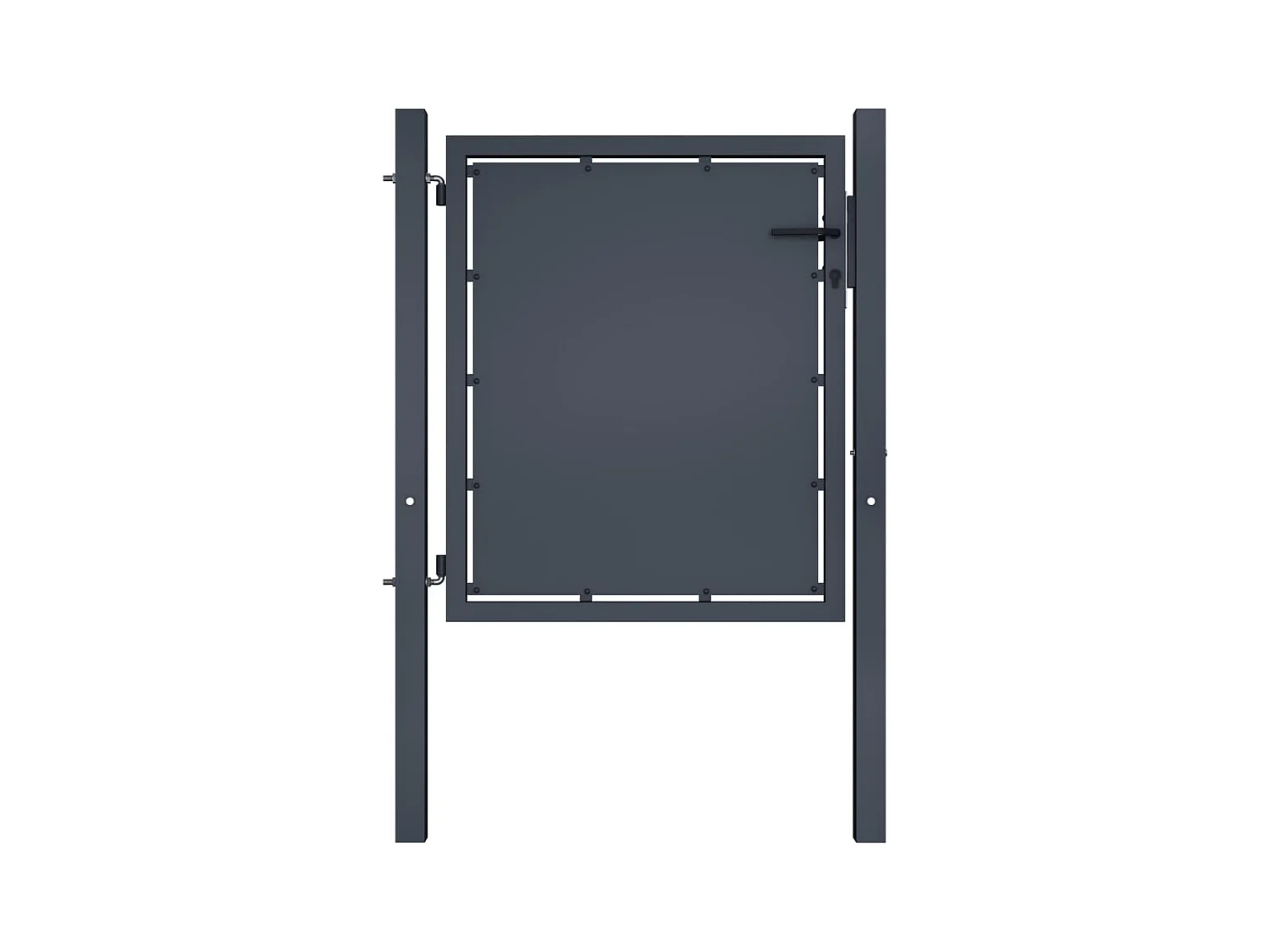Portail de jardin Acier 100x100 Anthracite