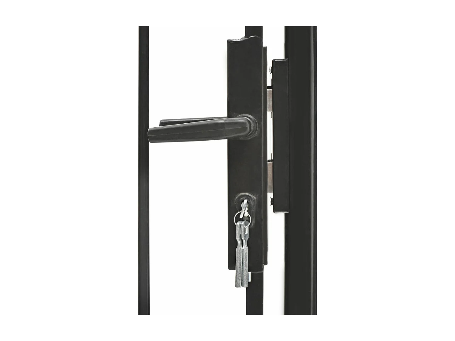 Portail de jardin Acier 1 x 2 m Noir