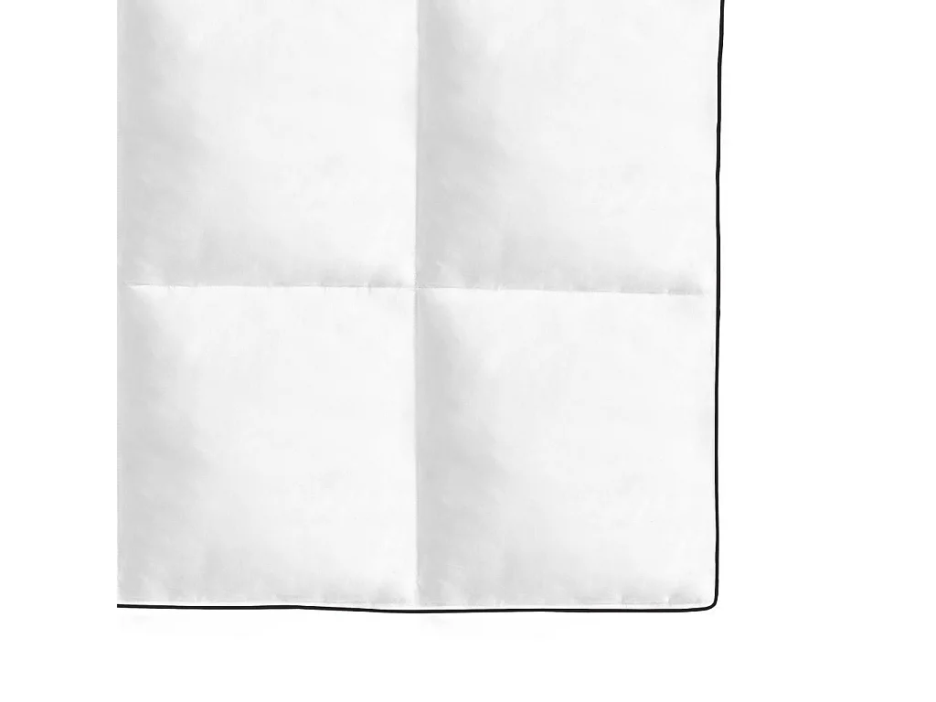 Winterdekbed 200x200 cm dons