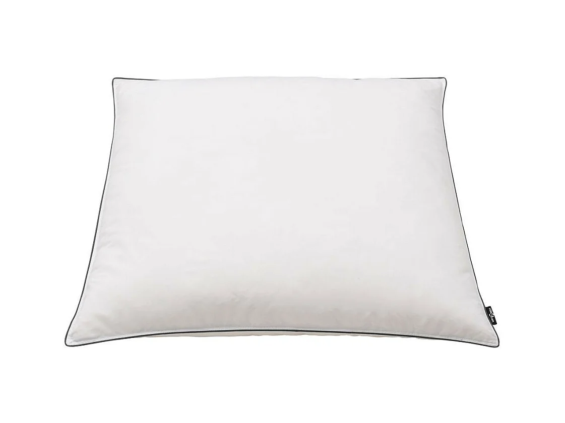 Oreiller 2 pcs Remplissage de duvet 80x80 Blanc