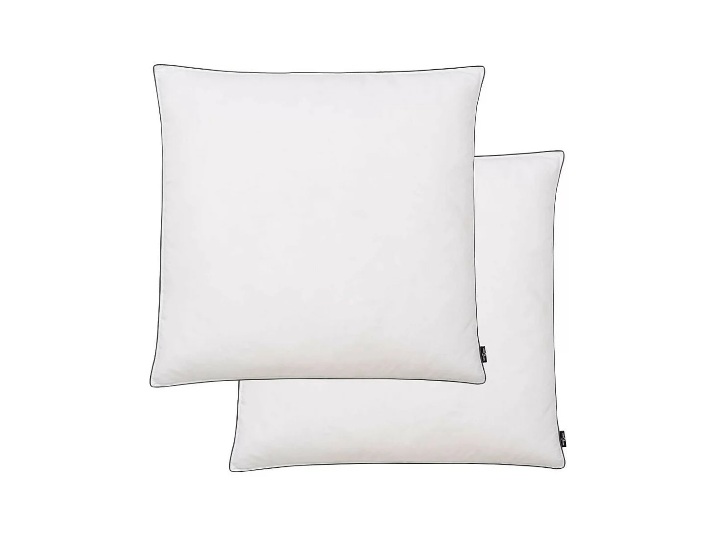 Oreiller 2 pcs Remplissage de duvet 80x80 Blanc