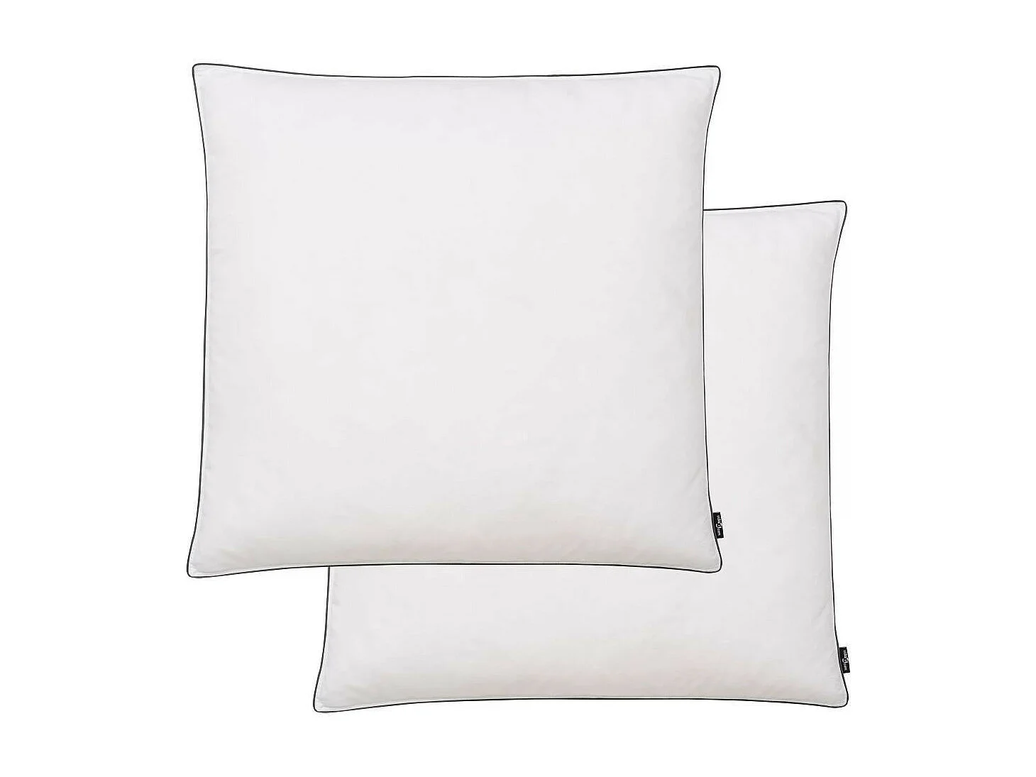 Oreiller 2 pcs Remplissage de duvet 80x80 Blanc