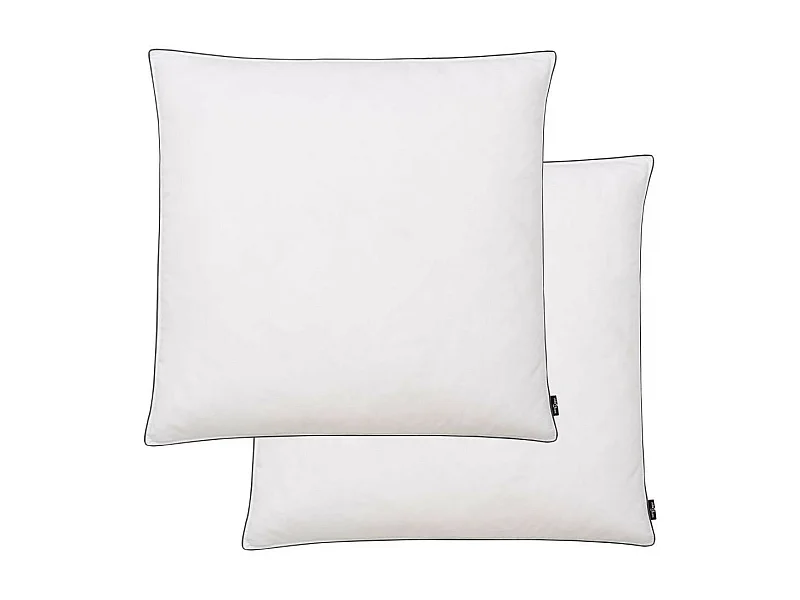 Oreiller 2 pcs Remplissage de duvet 80x80 Blanc
