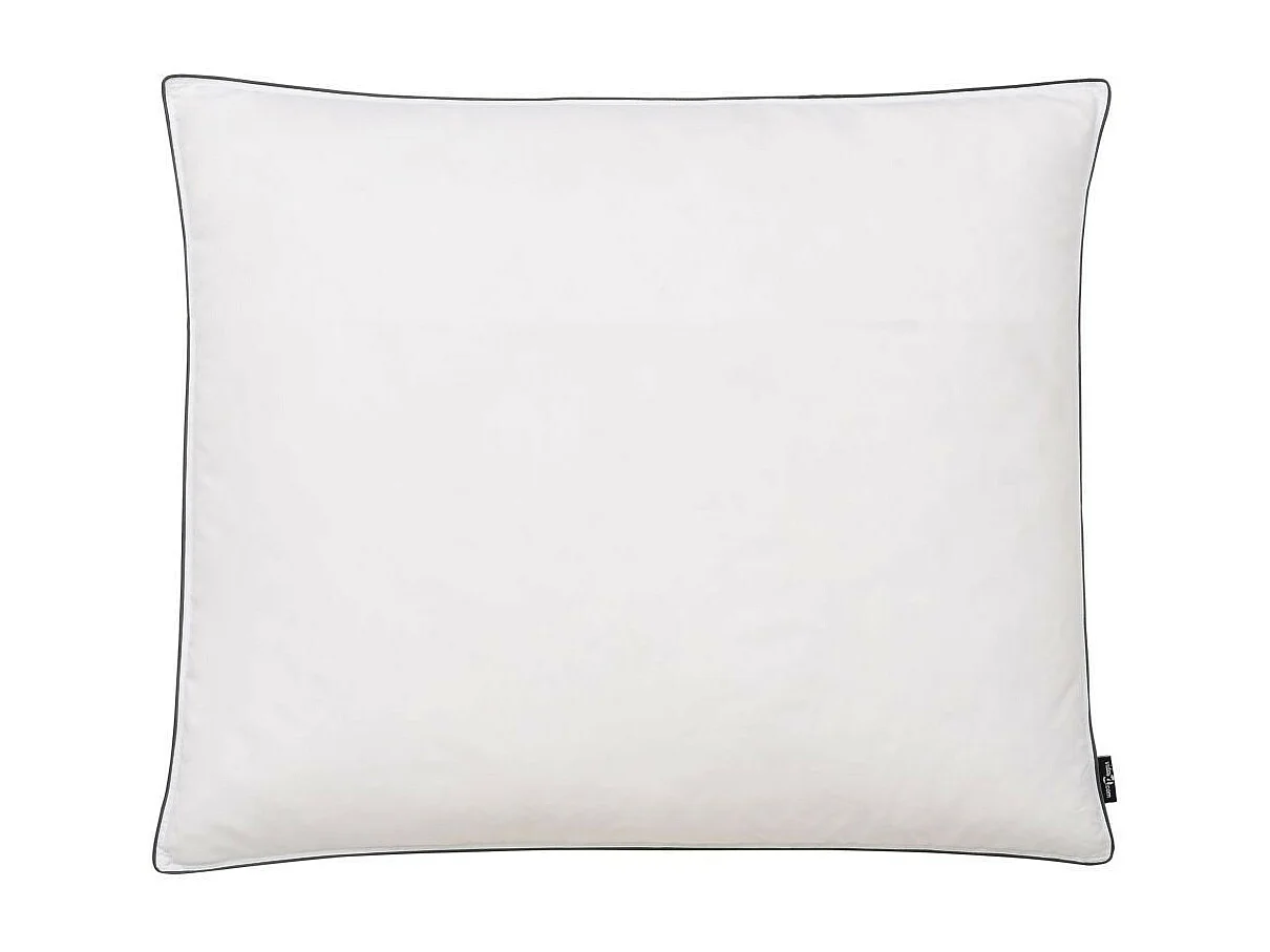 Oreiller 2 pcs Remplissage de duvet 70x60 Blanc
