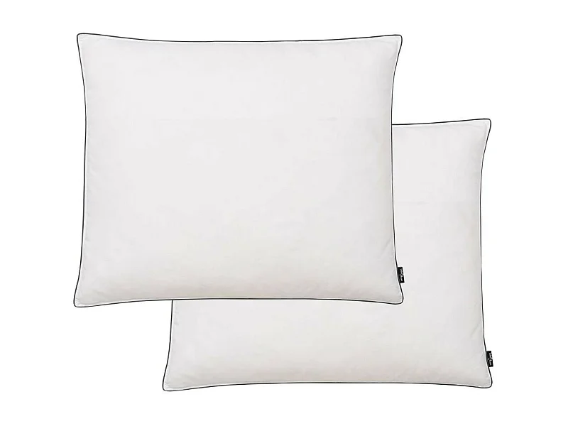 Oreiller 2 pcs Remplissage de duvet 70x60 Blanc
