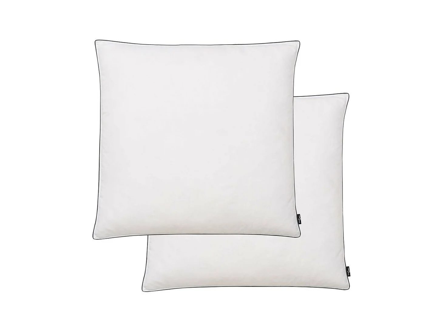 Oreiller 2 pcs Remplissage de duvet léger 80x80 Blanc