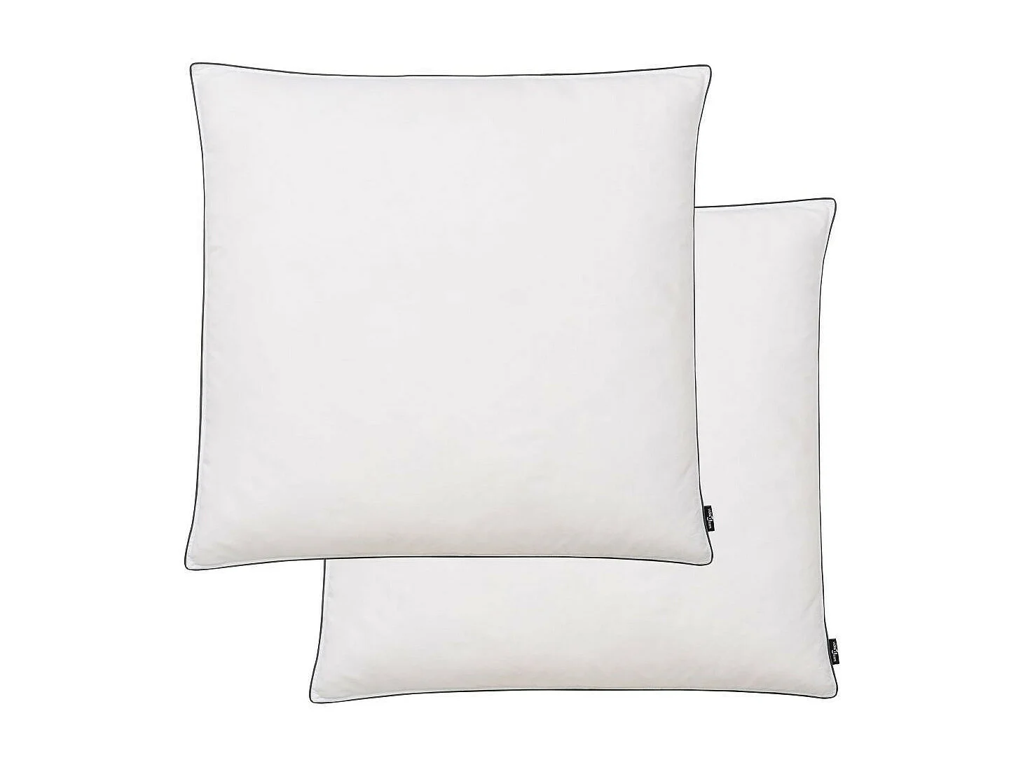 Oreiller 2 pcs Remplissage de duvet léger 80x80 Blanc