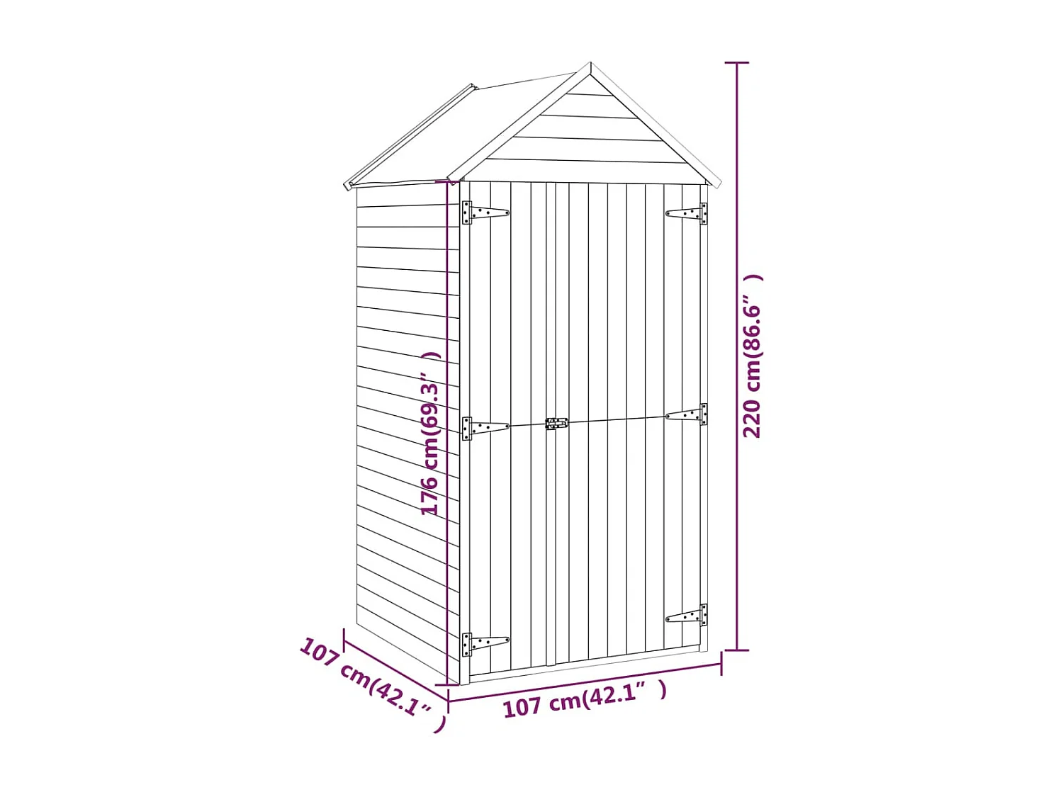 Abri à outils avec porte 107x107x220 Bois de pin imprégné