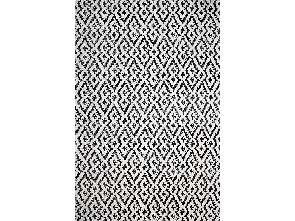 Tapis extérieur 120x170 tissé kilim noir et blanc EDJE