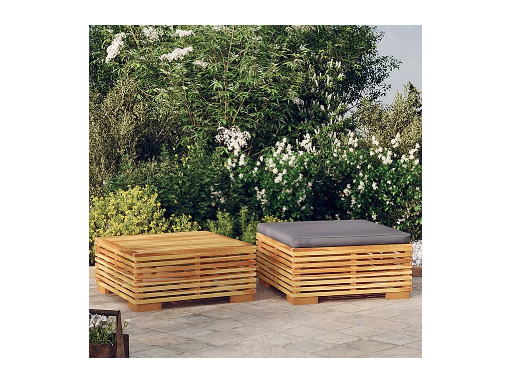 Salon de jardin 2 pcs Bois de teck massif
