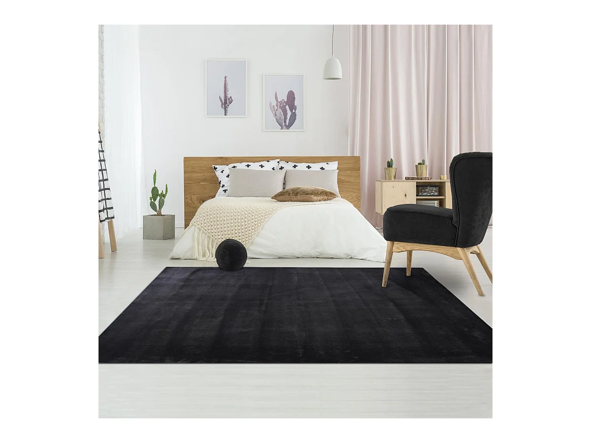 Tapis d'entrée LYN10 LAVABLE 80x150 soyeux et doux, tapis noir uni à l'aspect : Shaggy
