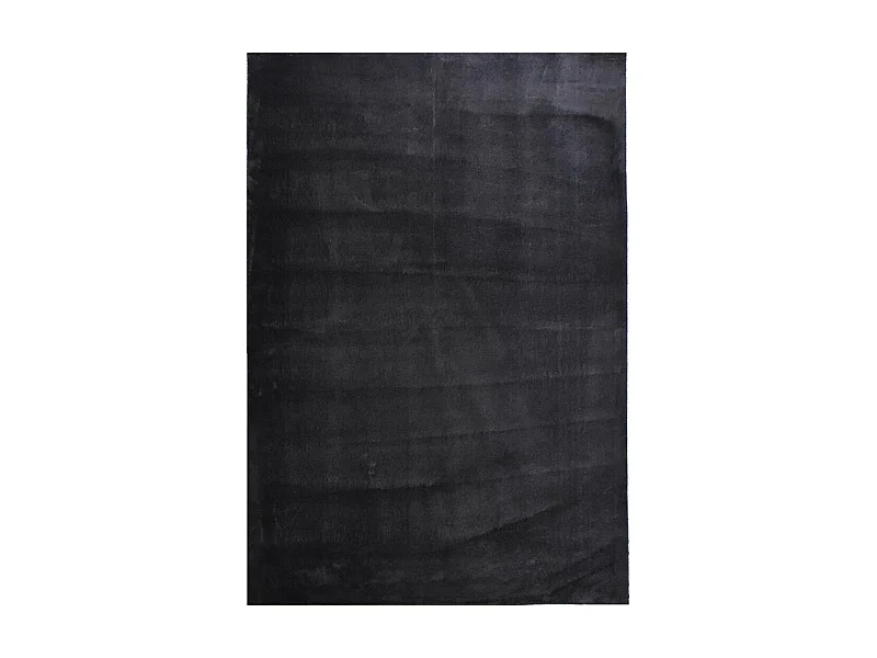 Tapis d'entrée LYN10 LAVABLE 80x150 soyeux et doux, tapis noir uni à l'aspect : Shaggy