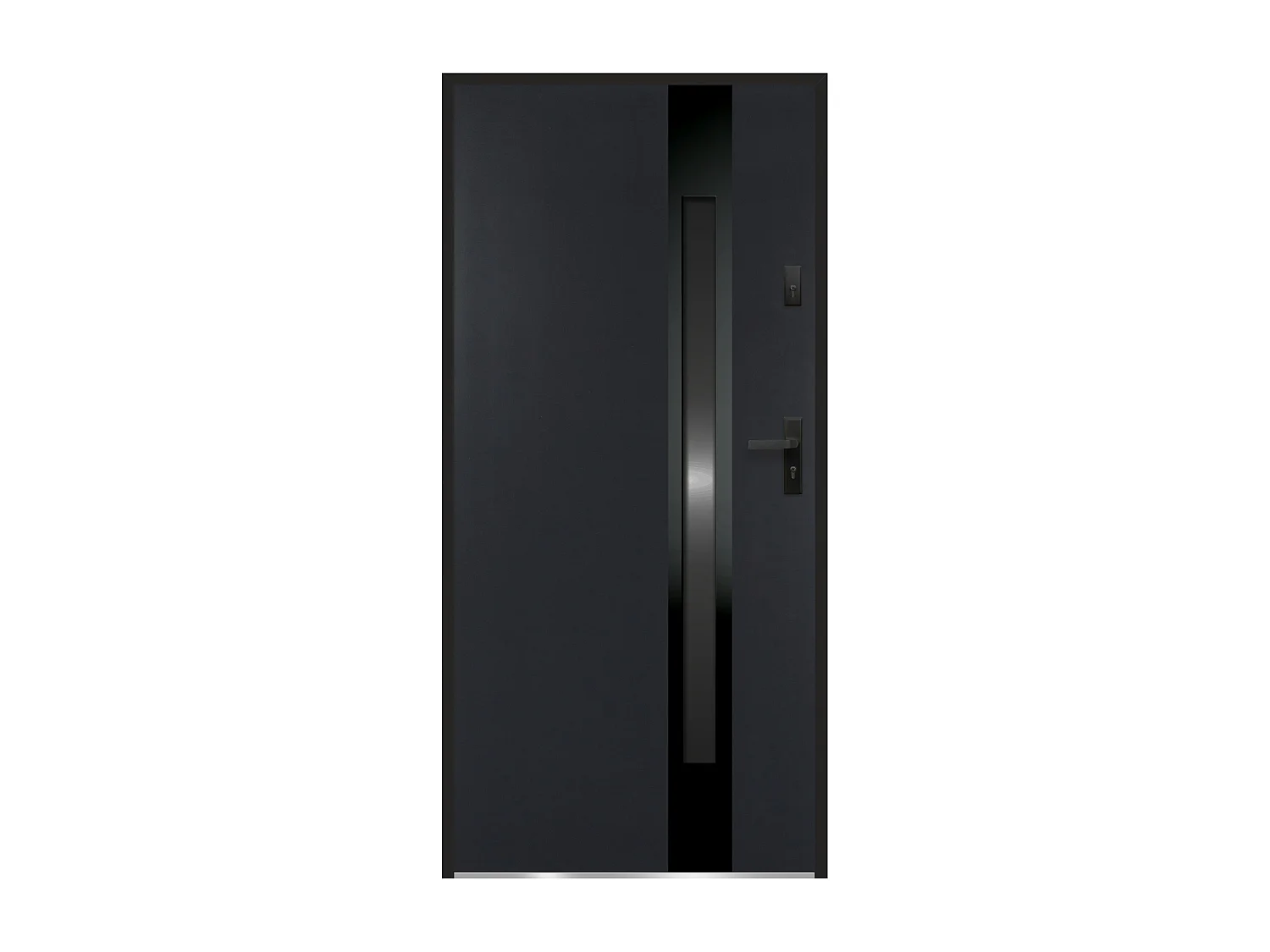 Porte d'entrée en acier pleine et inox H207 x L100 cm - verre fumé - noir et anthracite - poussant gauche - BRAGA
