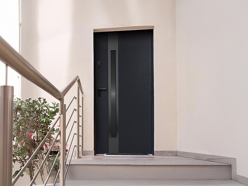 Steel and Stainless Steel Full front door H207 x W100 cm Anthracite ...