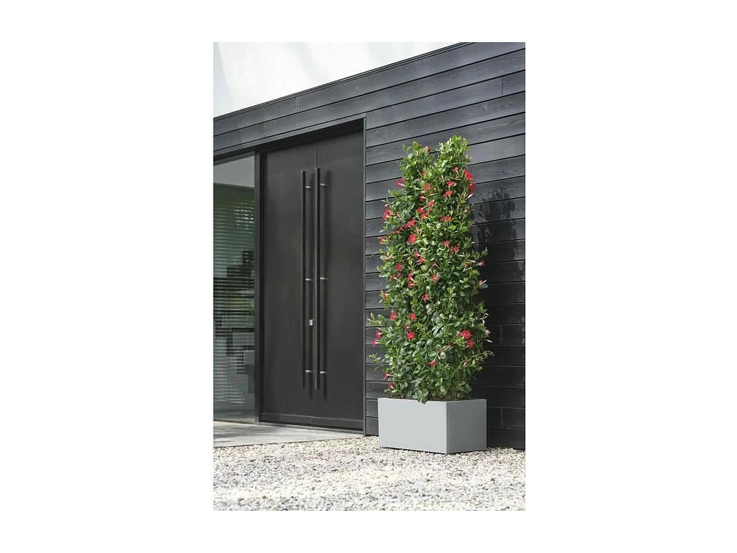 Jardinière rectangle en plastique 60 x 30 cm Elho Vivo - gris ciment