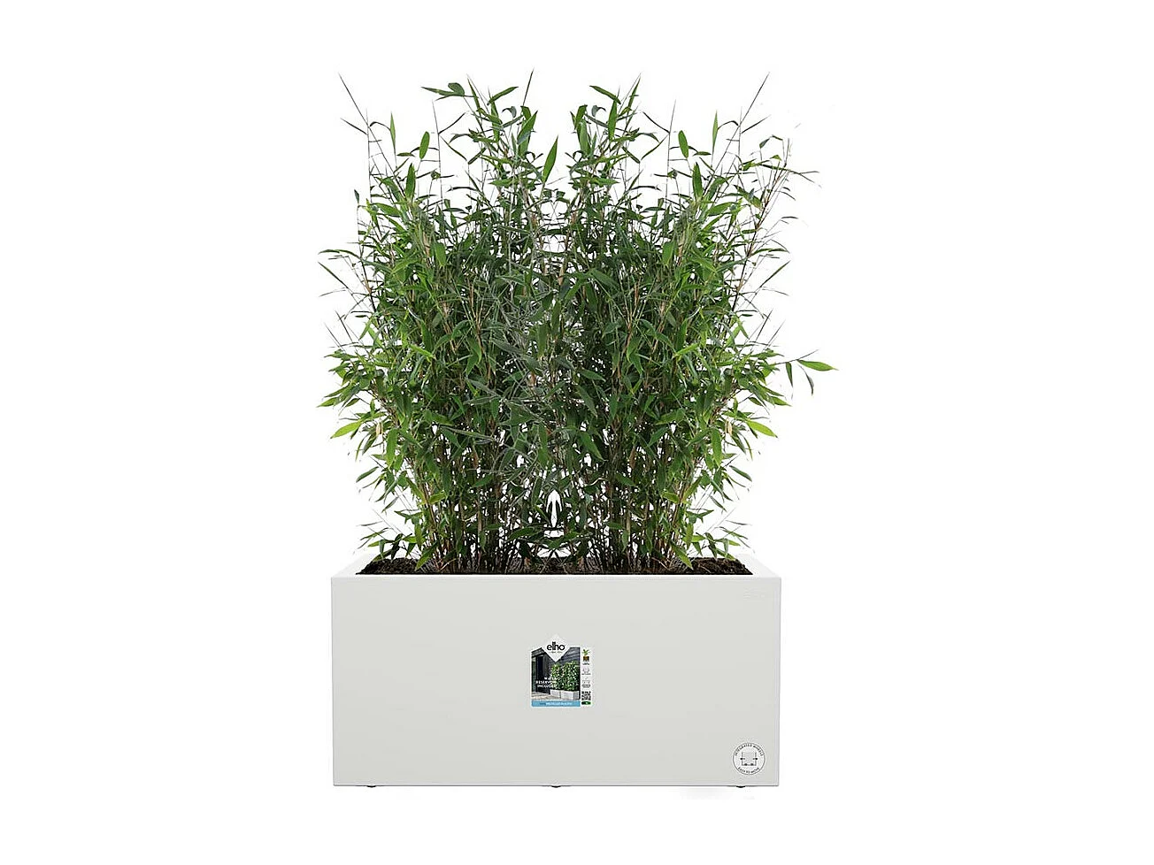 Jardinière rectangle en plastique 60 x 30 cm Elho Vivo Long - blanc