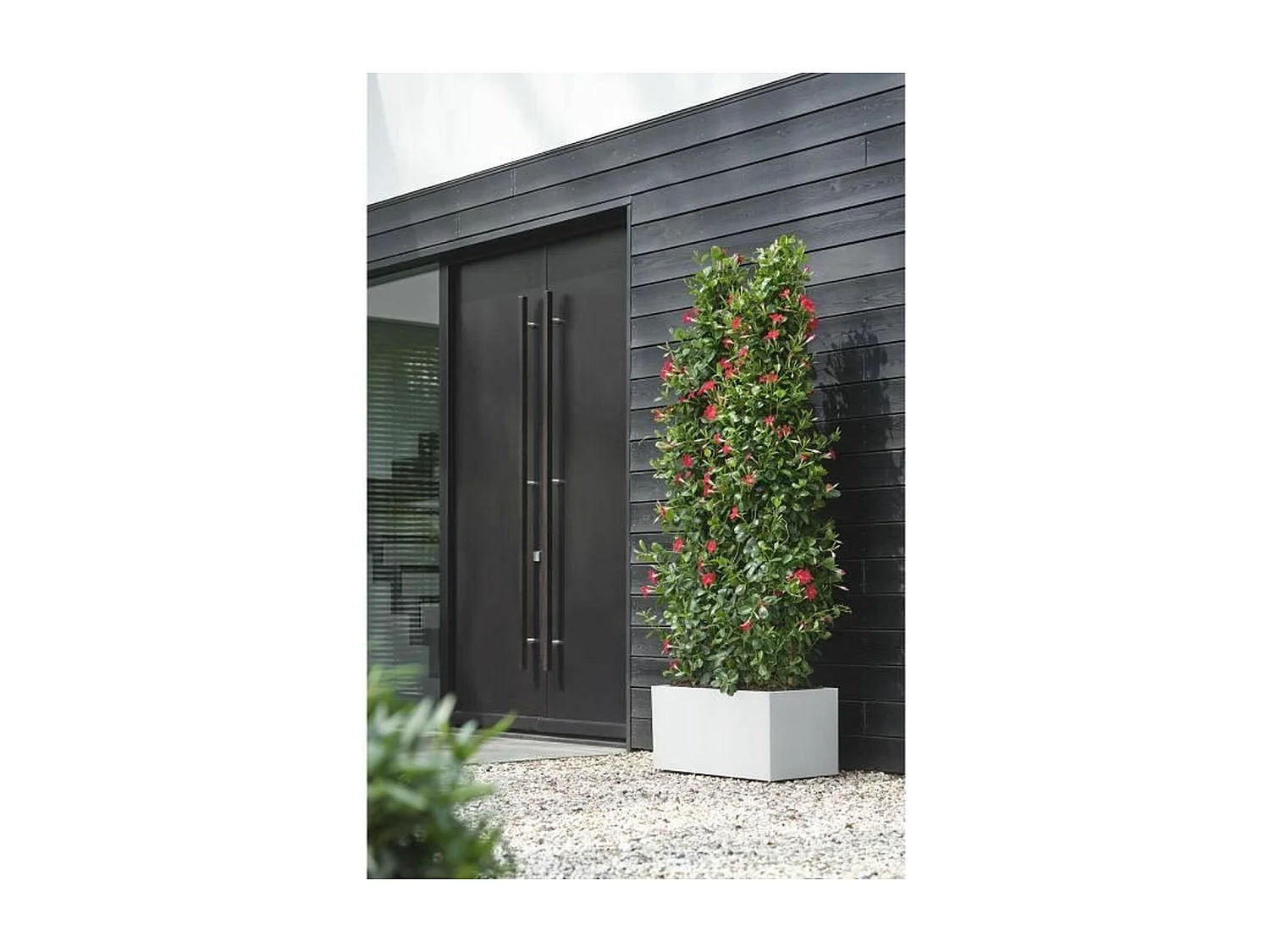 Jardinière rectangle en plastique 60 x 30 cm Elho Vivo Long - blanc