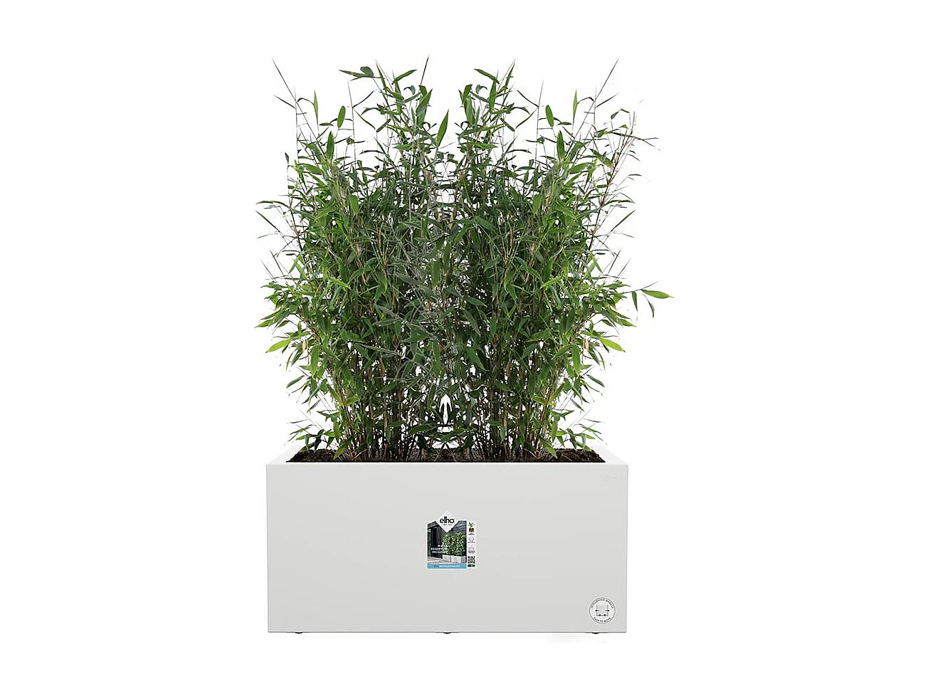 Jardinière rectangle en plastique 60 x 30 cm Elho Vivo Long - blanc