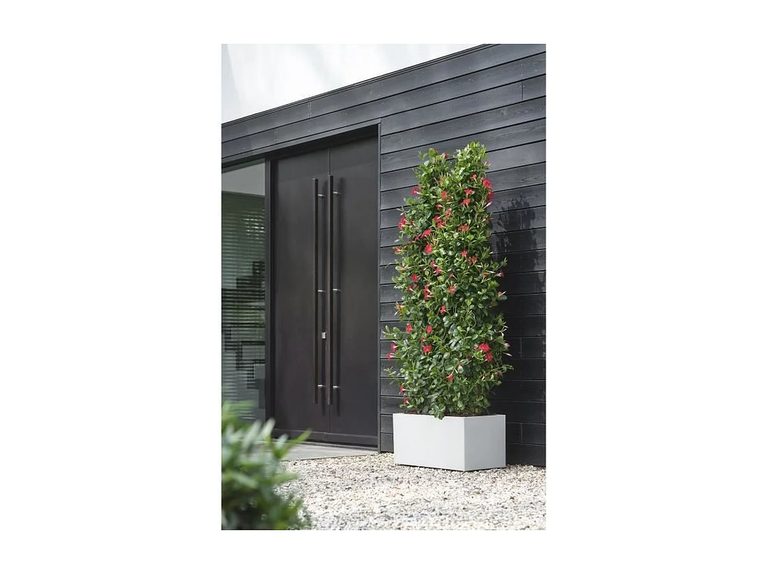 Jardinière rectangle en plastique 60 x 30 cm Elho Vivo Long - blanc