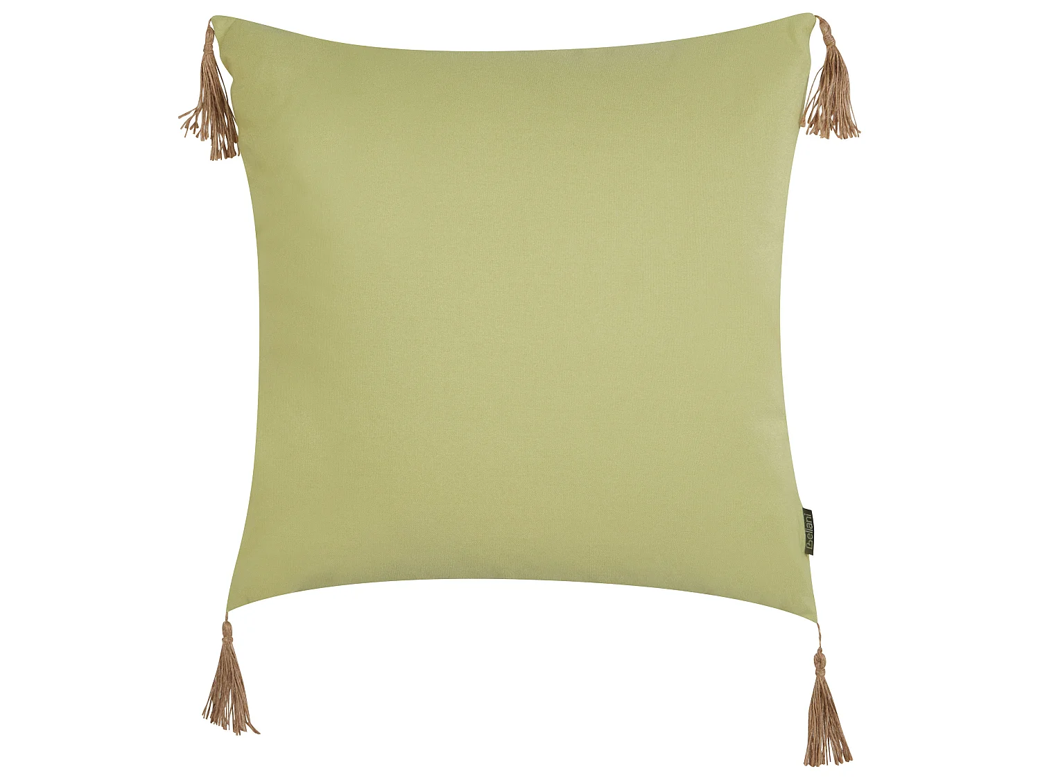 Lot de 2 coussins décoratifs CHMISTAR 45 x 45 cm Vert Unicolore