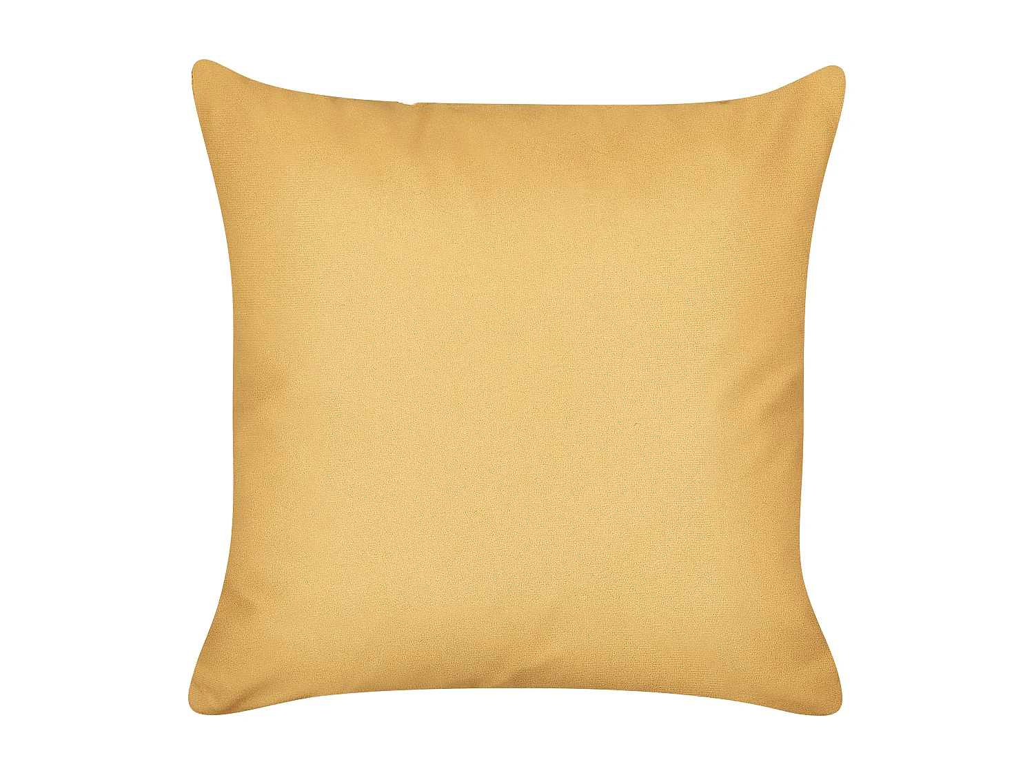 Lot de 2 coussins décoratifs ASTRANTIA 45 x 45 cm Jaune