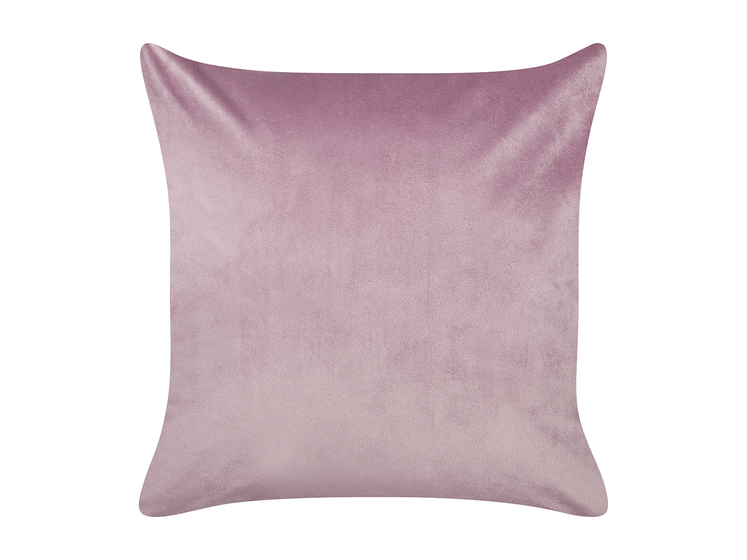 Lot de 2 coussins décoratifs ECHINACEA Velours 45 x 45 cm Violet