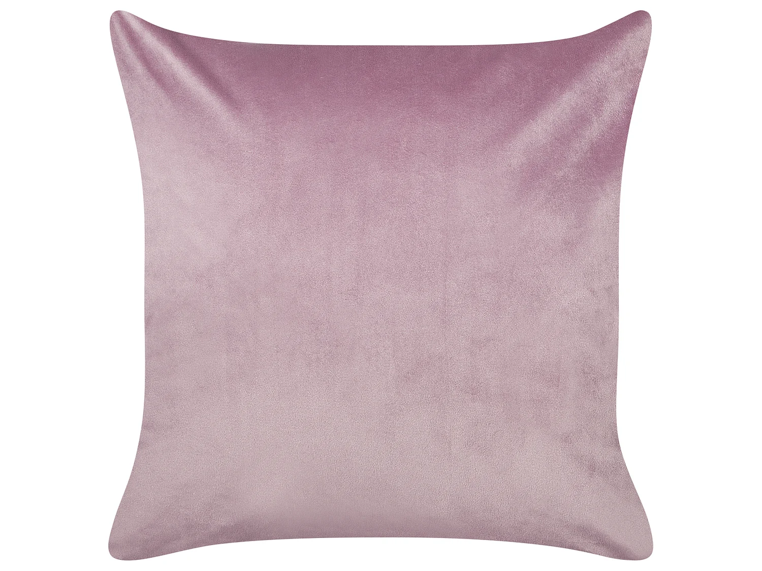 Set di 2 cuscini velluto viola 45 x 45 cm ECHINACEA