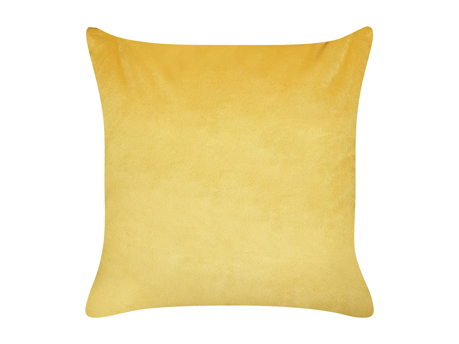 Lot de 2 coussins décoratifs ACONITUM Velours 45 x 45 cm Jaune Motif animal