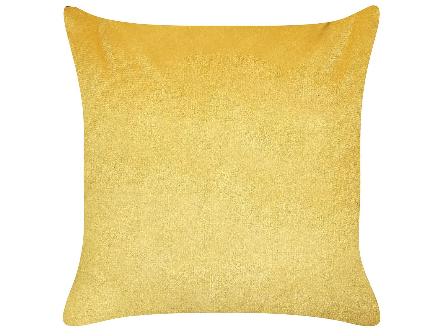Lot de 2 coussins décoratifs ACONITUM Velours 45 x 45 cm Jaune Motif animal