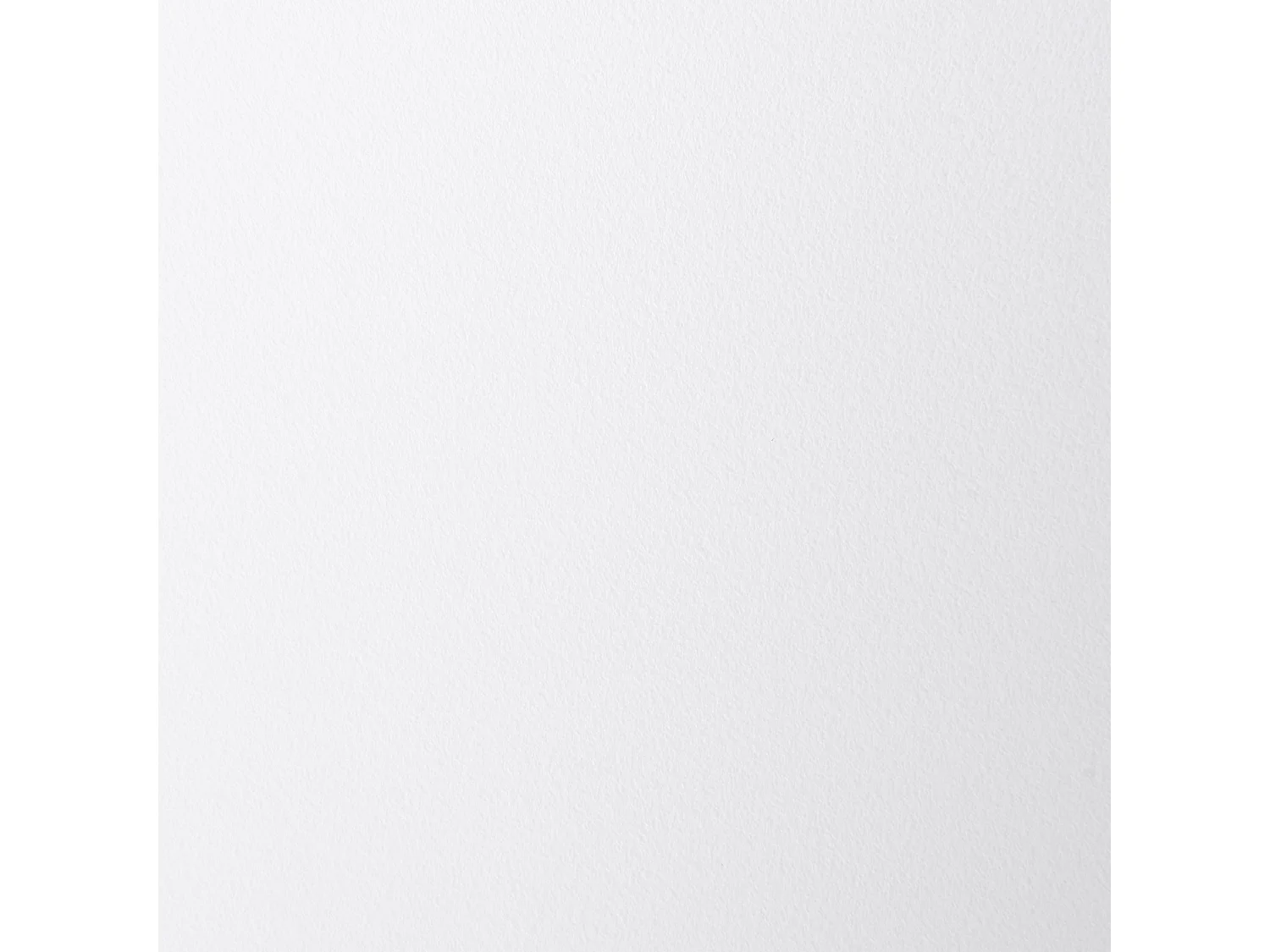 Lot de 2 chaises de salle à manger FOMBY Blanc