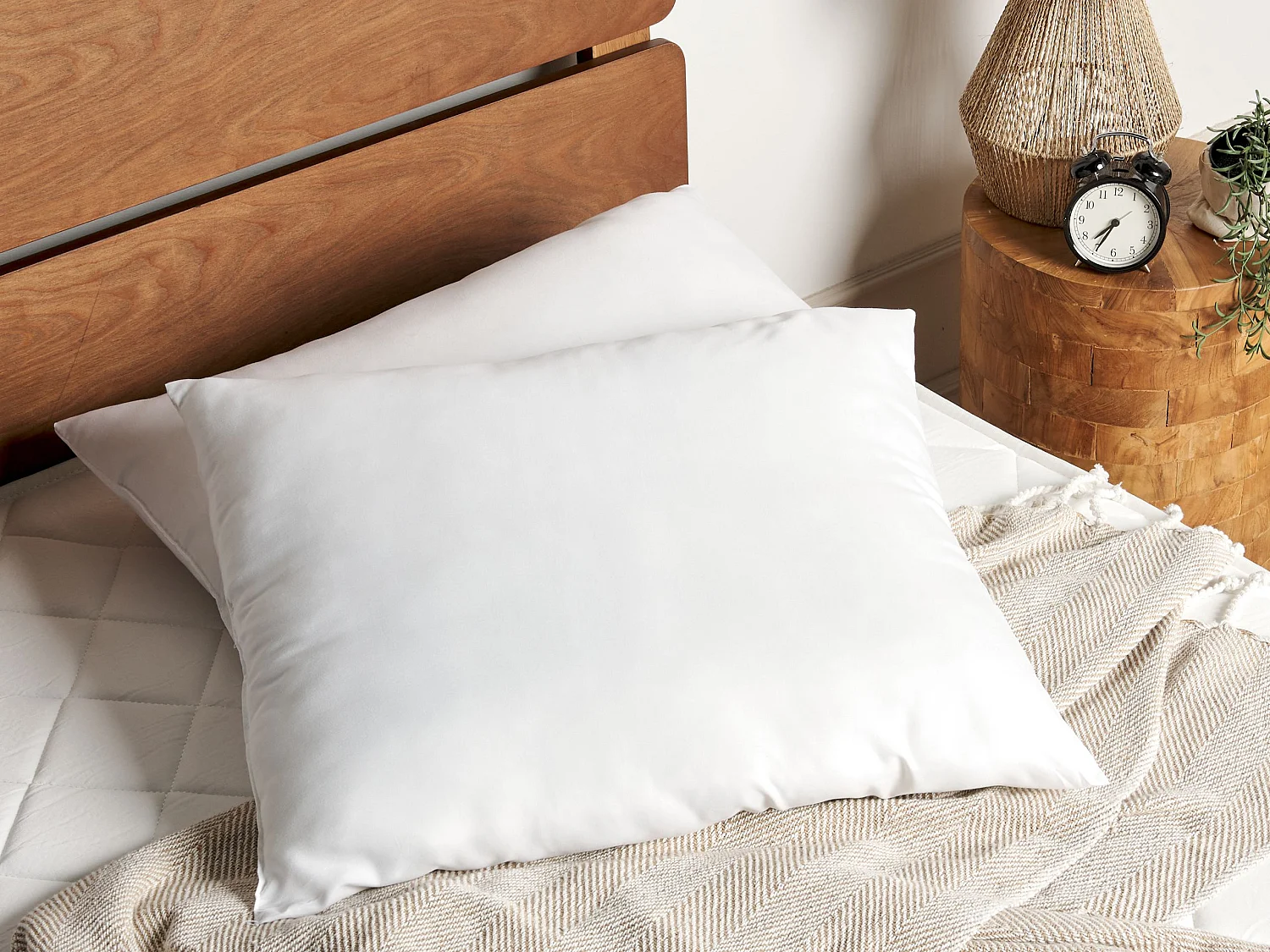 Lot de 2 oreillers ERRIGAL Haut Microfibre 50 x 60 cm Blanc