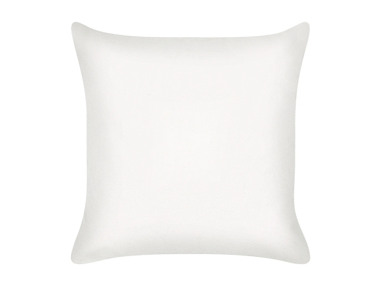 Lot de 2 coussins décoratifs ELANITE Coton 45 x 45 cm Vert Motif oriental