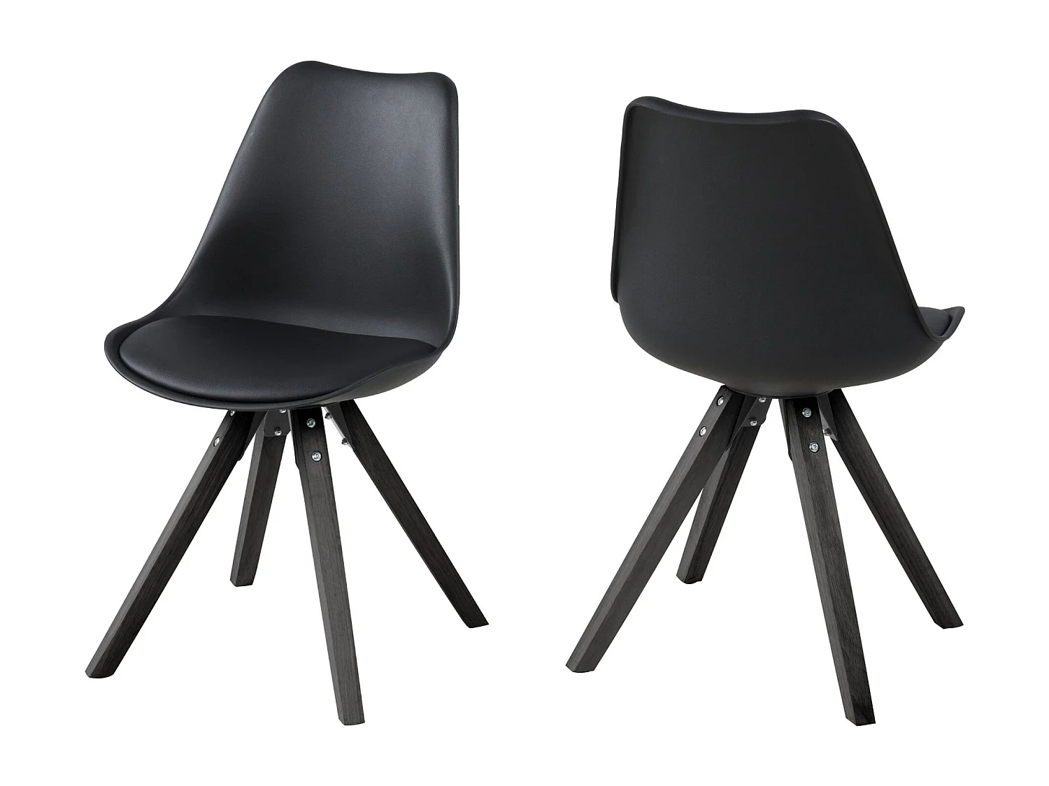 Chaises bois et résine coloris noir (lot de 2) - EARL