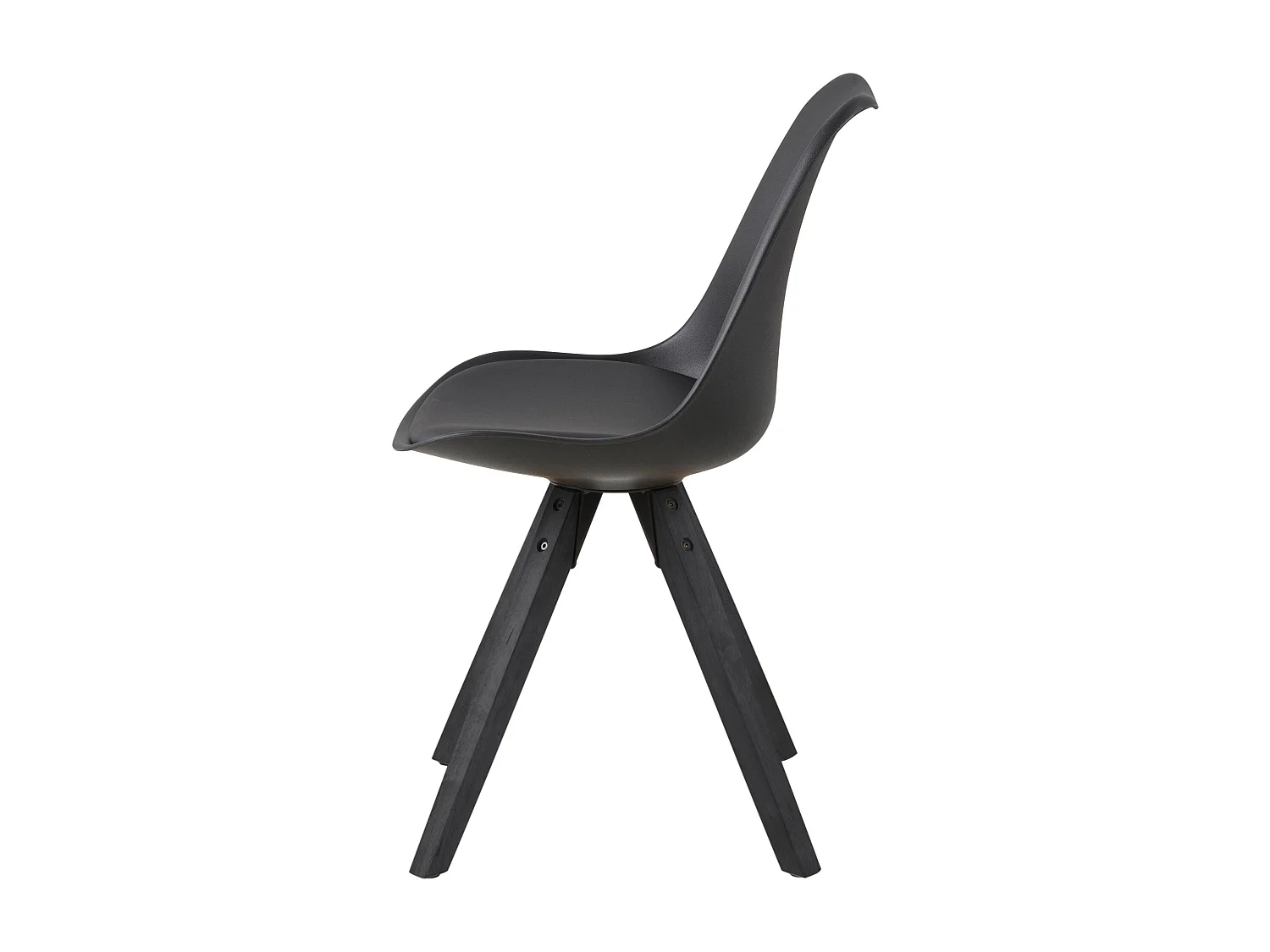 Chaises bois et résine coloris noir (lot de 2) - EARL