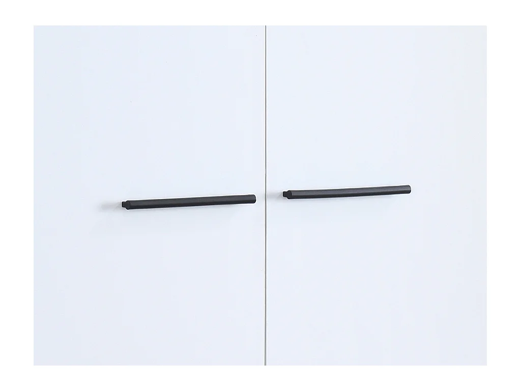 Mueble zapatero con 2 puertas - Blanco - CARLYA