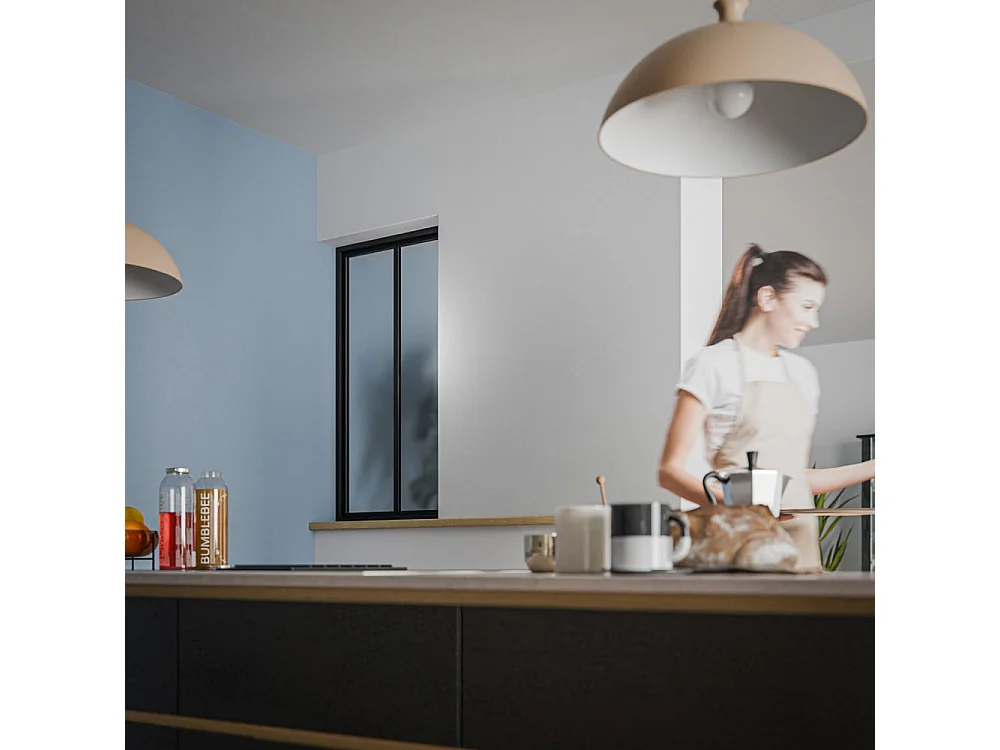 Verrière 2 Carreaux - Déjà Montée - Noir Mat - Verre Dépoli