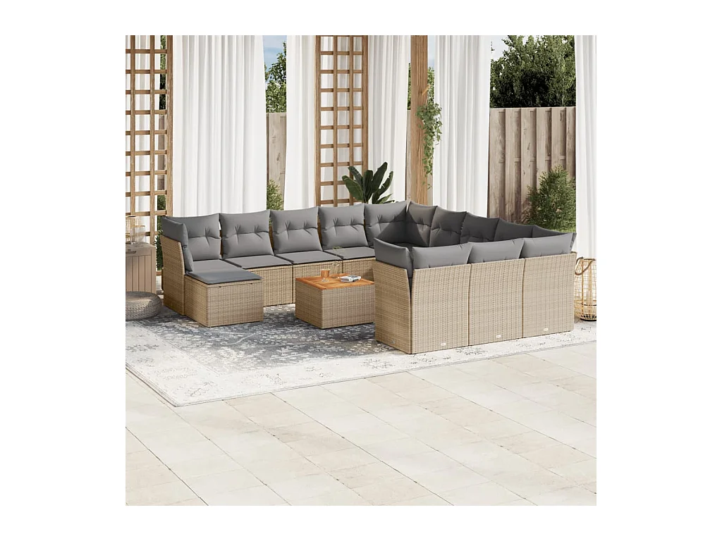 Salon de jardin et coussins 13 pièces mélange beige résine tressée