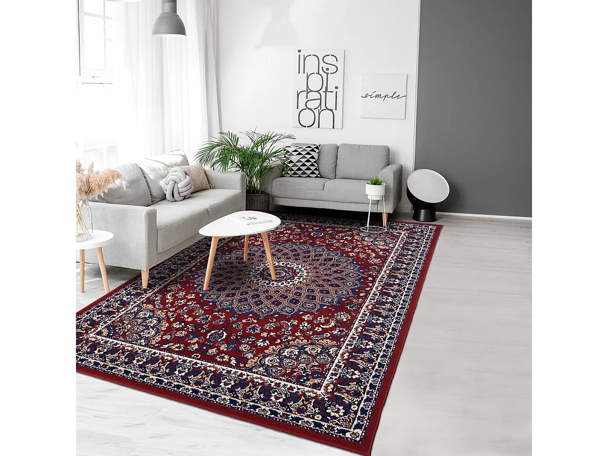 Tapis oriental 80x150 rectangle crème et rouge tissé motif ethnique LYN1 ROSOR