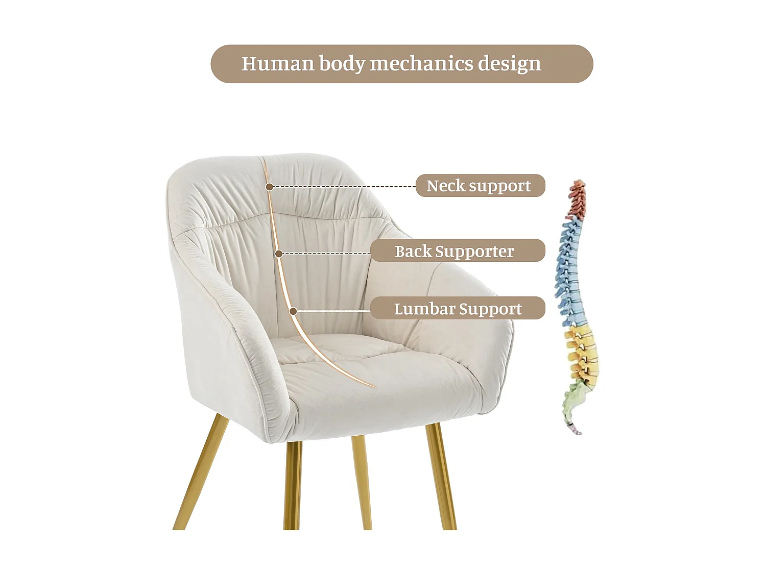 Lot de 4 Chaises en velours avec accoudoirs - pieds réglables - Beige & Doré