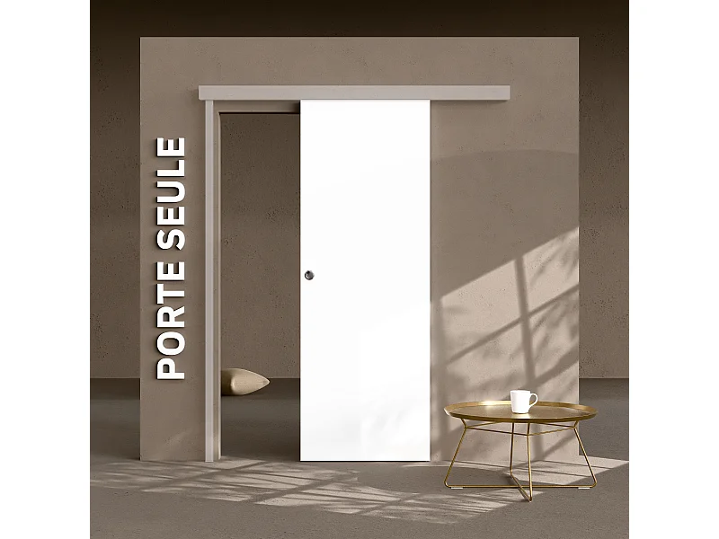 Porte Coulissante Seule - Prépeinte Plane 73 cm
