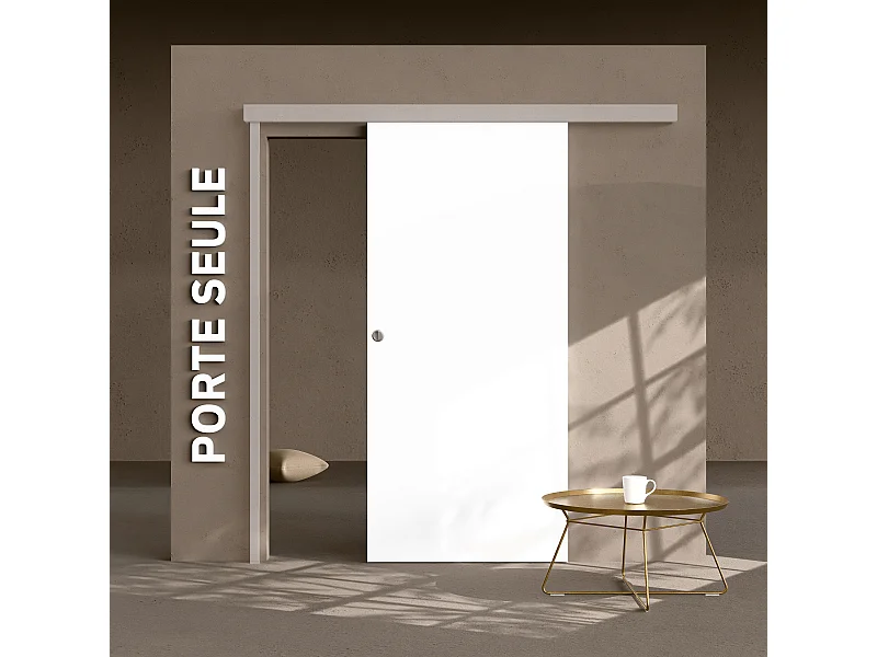 Porte Coulissante Seule - Prépeinte Plane 93 cm